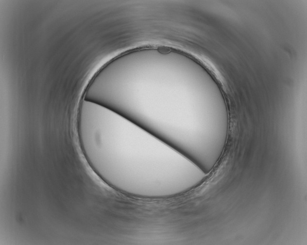 X0000113150903200909040930