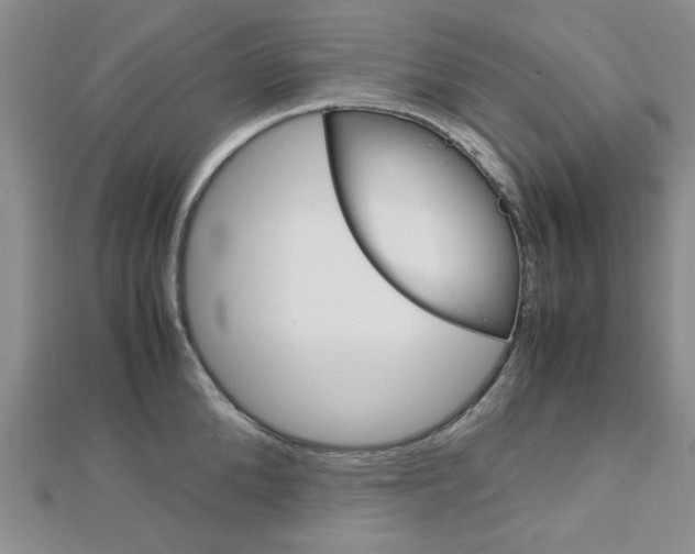X0000113150904200909040930