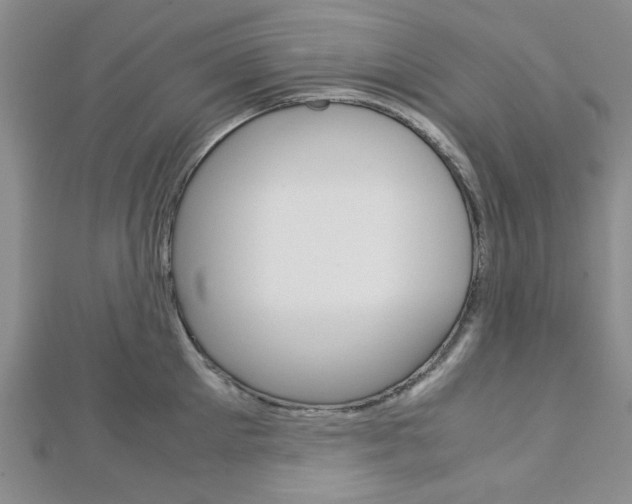 X0000113150905200909040930