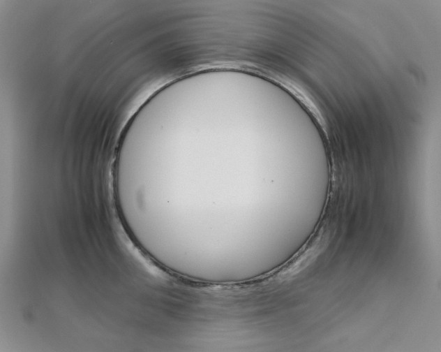 X0000113150906200909040929