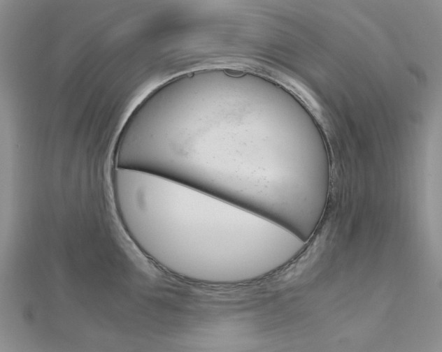 X0000113150907200909040929
