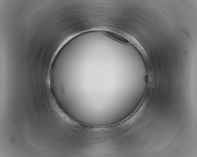 X0000113150908200909040929