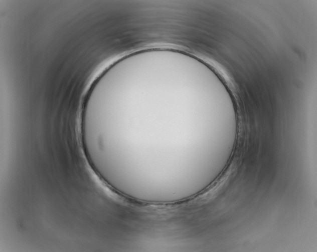 X0000113150910200909040929