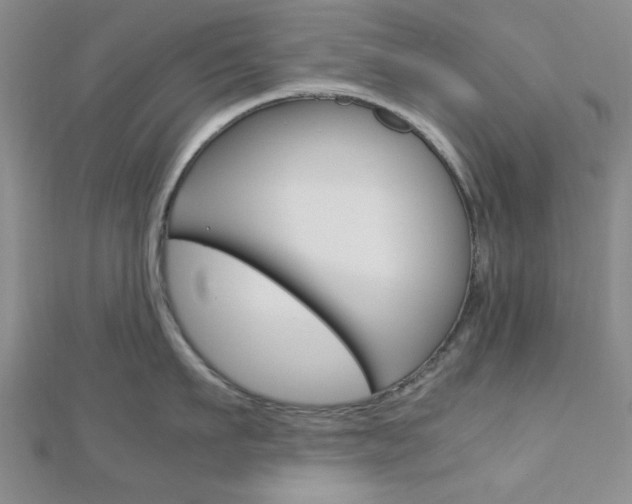 X0000113150911200909040929