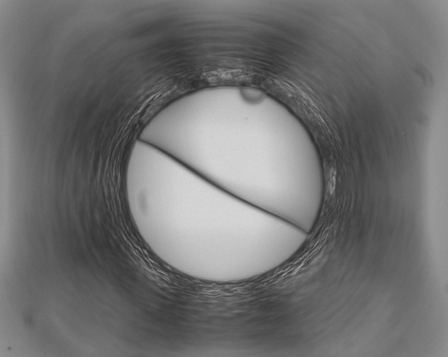 X0000113150915200909040929