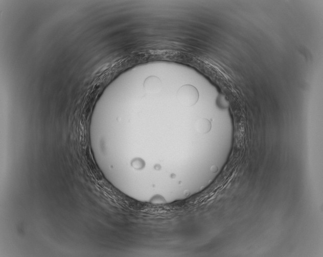 X0000113150917200909040929