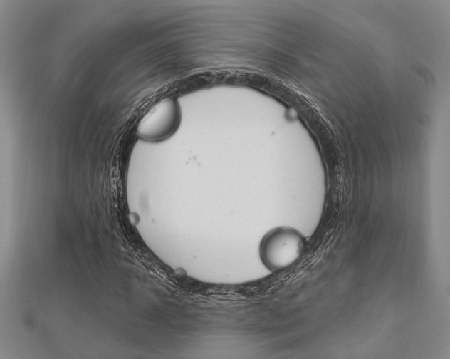 X0000113150918200909040929