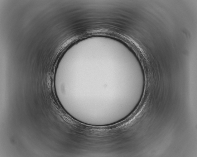 X0000113150921200909040929