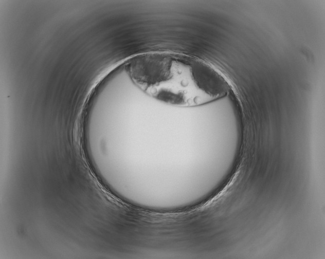 X0000113150925200909040929