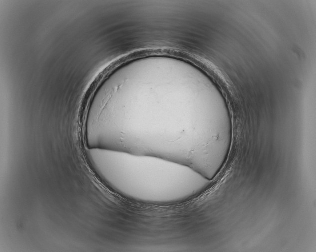 X0000113150927200909040929
