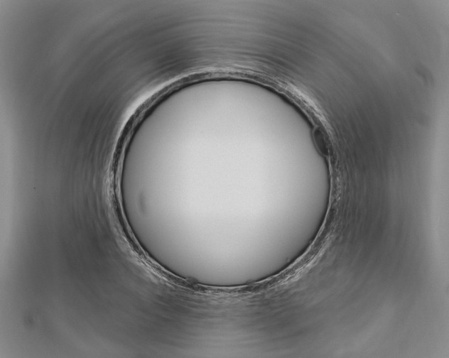 X0000113150928200909040929