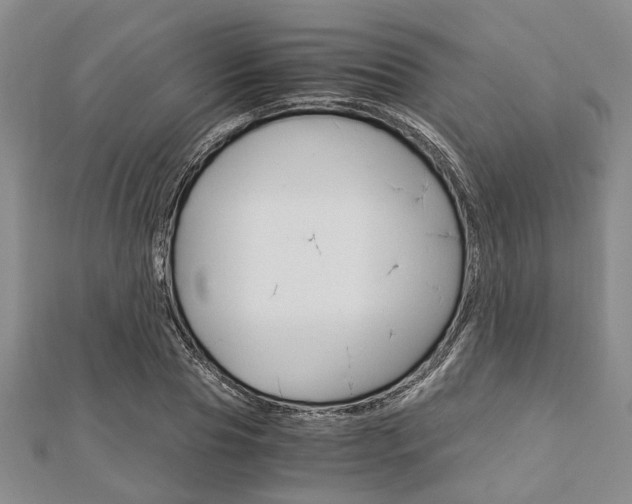 X0000113150929200909040929