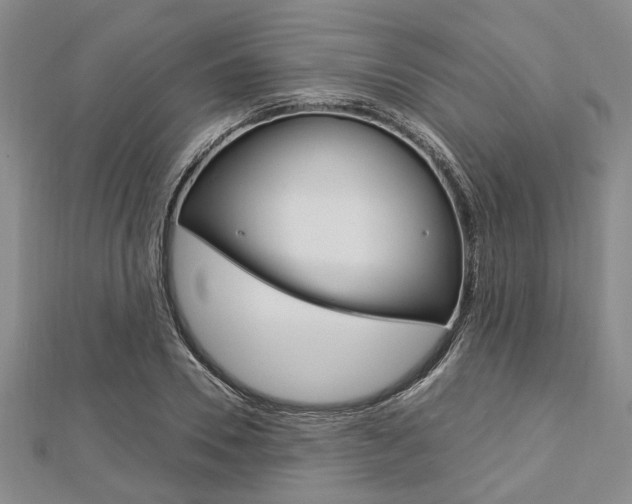 X0000113150930200909040929