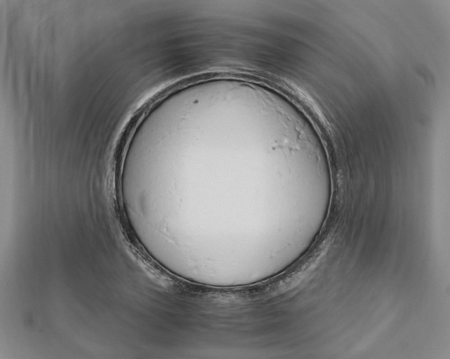 X0000113150931200909040929