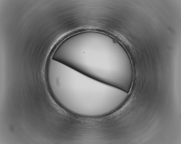 X0000113150934200909040929