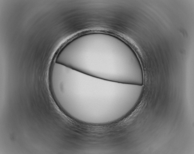 X0000113150935200909040929