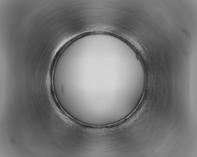 X0000113150936200909040929