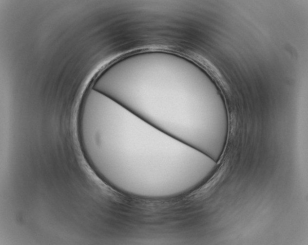 X0000113150939200909040929
