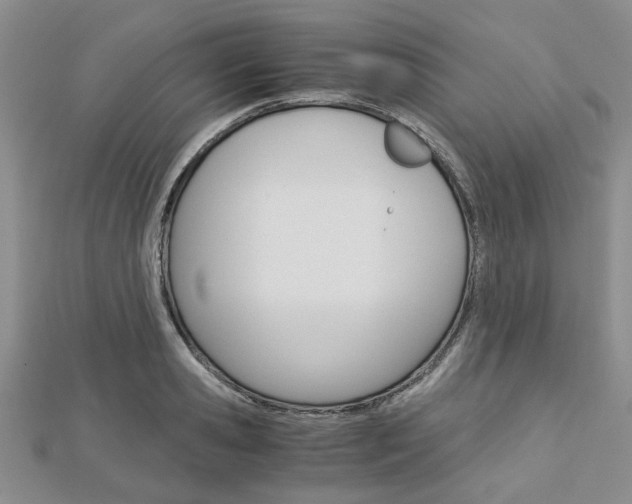 X0000113150941200909040929