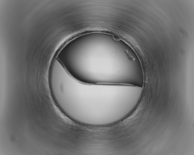 X0000113150942200909040929