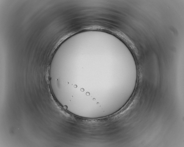 X0000113150945200909040929