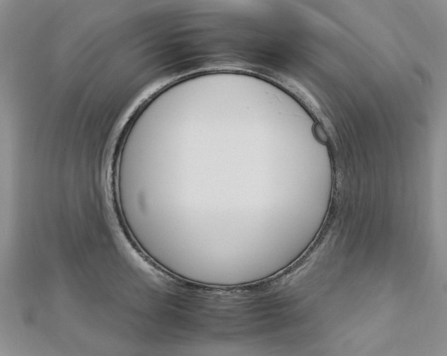 X0000113150947200909040929