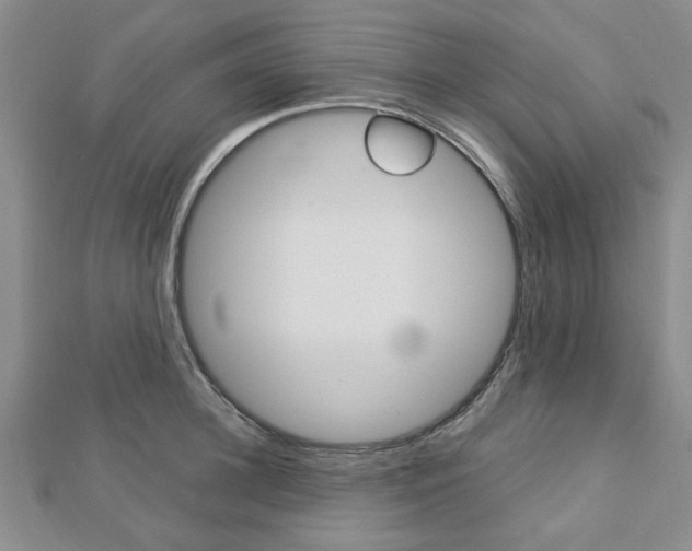 X0000113150948200909040929
