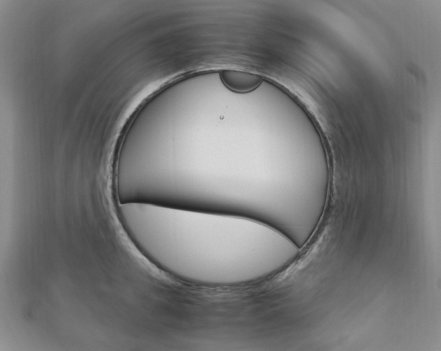 X0000113150949200909040929