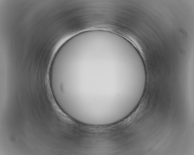 X0000113150952200909040929