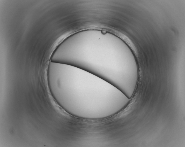 X0000113150954200909040929