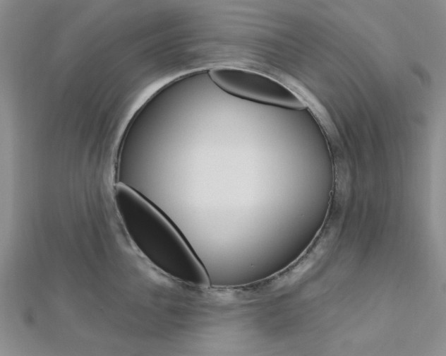 X0000113150956200909040929