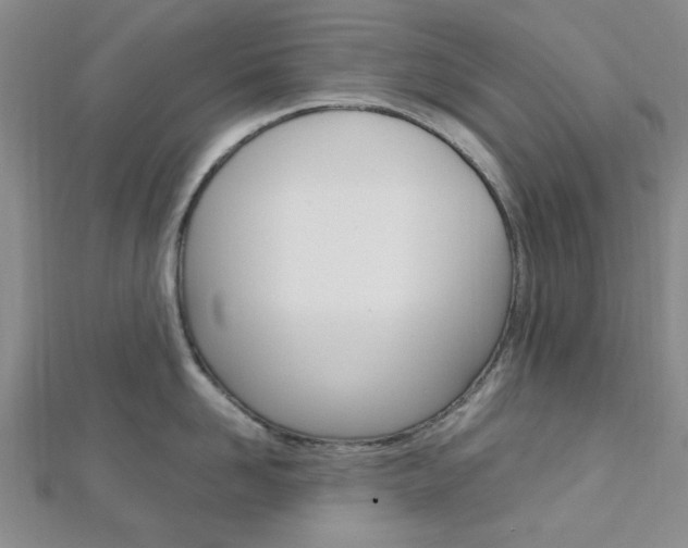 X0000113150958200909040929