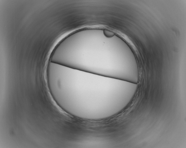 X0000113150959200909040929