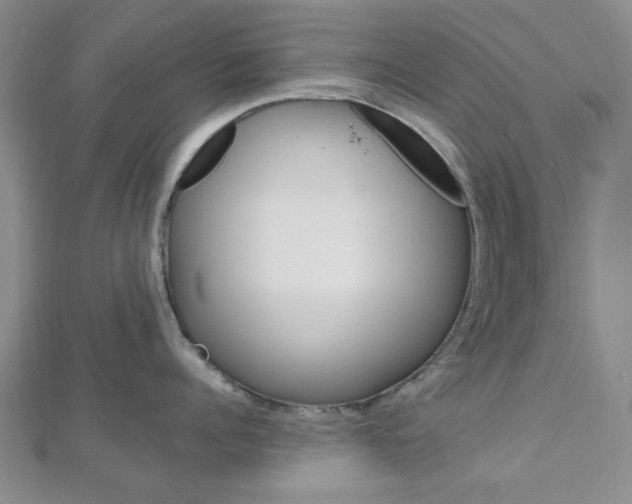 X0000113150960200909040929