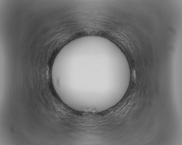 X0000113150963200909040928