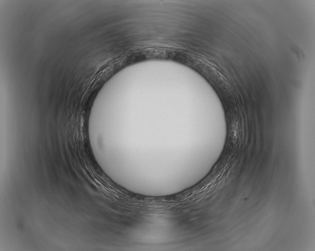 X0000113150964200909040928