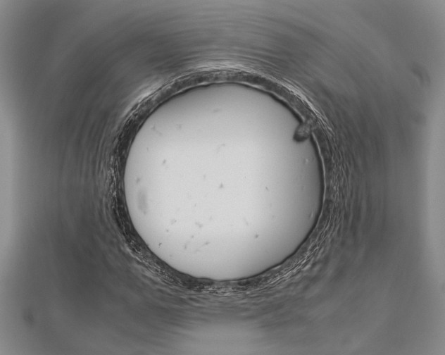 X0000113150967200909040928