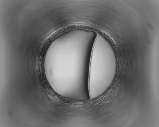 X0000113150968200909040928
