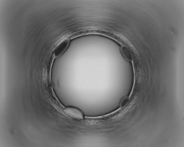X0000113150969200909040928