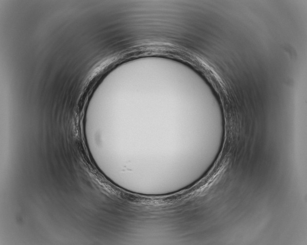 X0000113150970200909040928