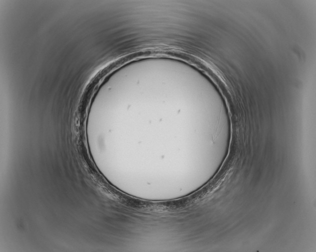 X0000113150971200909040928