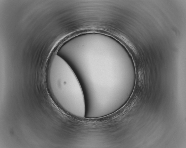X0000113150972200909040928