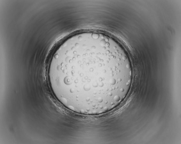 X0000113150974200909040928
