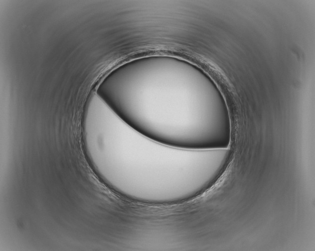 X0000113150977200909040928