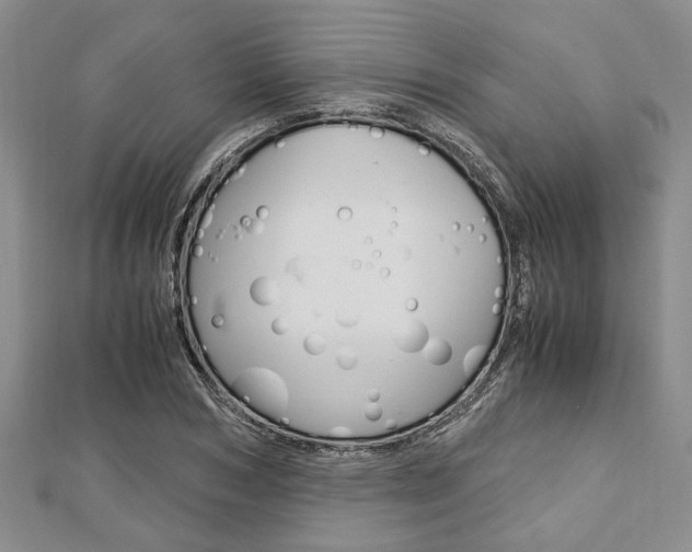 X0000113150978200909040928