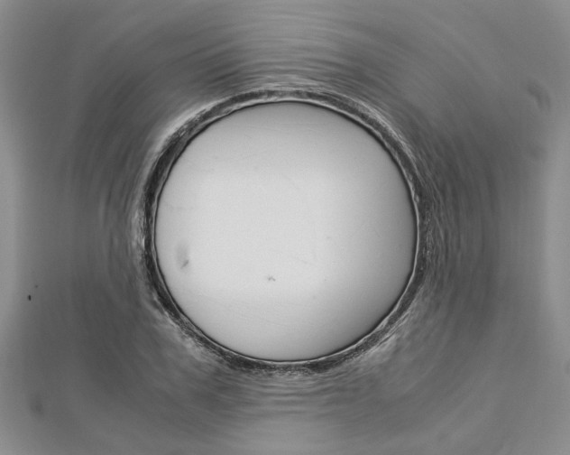 X0000113150979200909040928