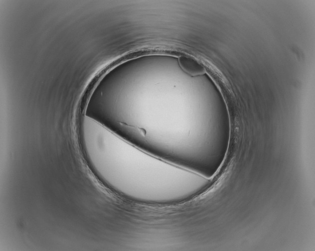 X0000113150981200909040928