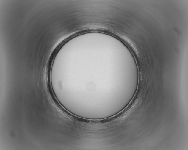 X0000113150983200909040928