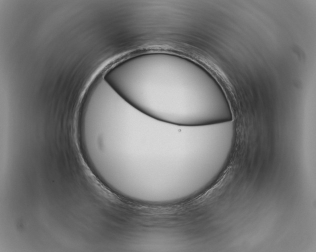 X0000113150984200909040928
