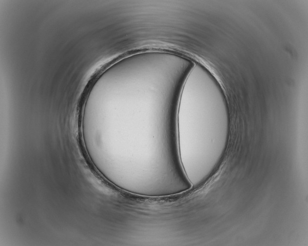 X0000113150987200909040928